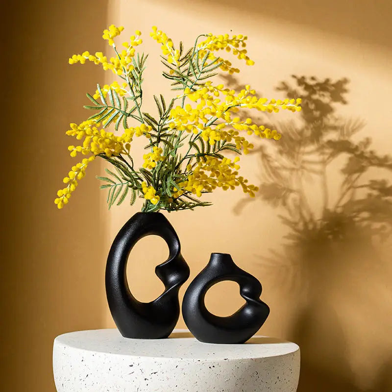 CAPIRON-Conjunto de Vaso Cerâmico Fosco para Decoração de Casa, Pampas Grama, Flor Seca, Acessórios Nórdicos Modernos, Interior de Mesa, Conjunto de 2